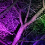 Tree Lighting – Multi Color